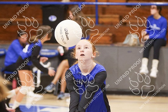 20250828 SA vs Piedmont (MS Volleyball)